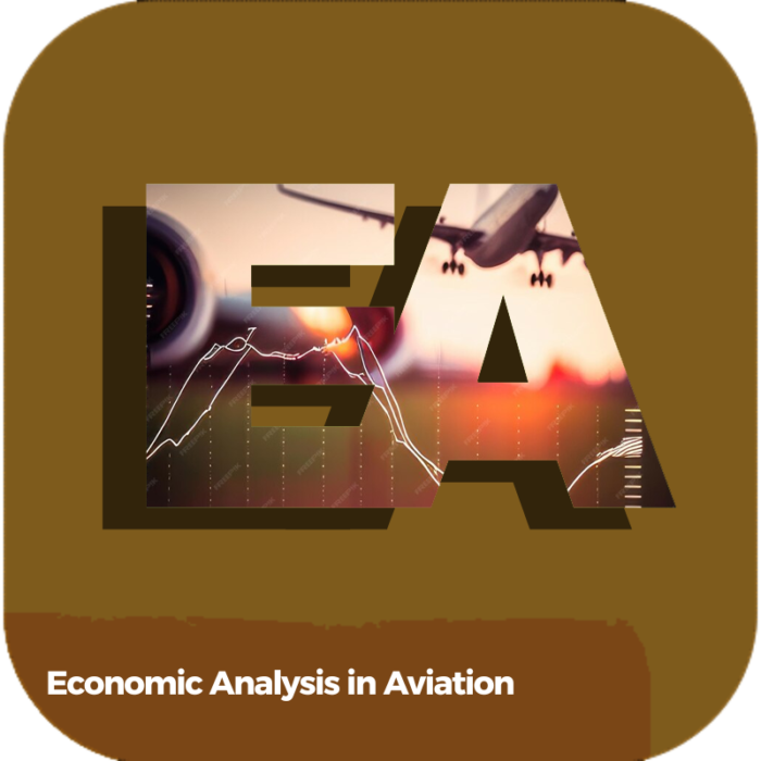 Economic Analysis in Aviation | Transportation | Certifications