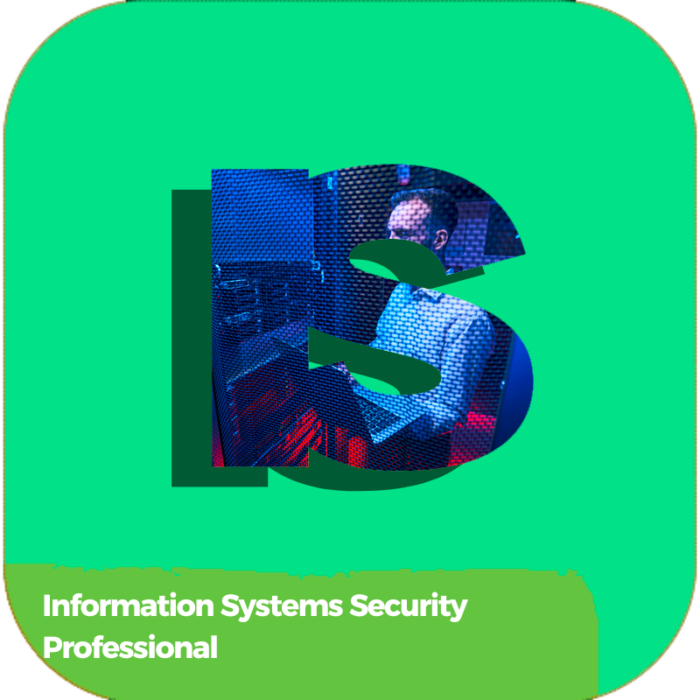 Information Systems Security Professional | Labor Basic Skills | Industry Certifications