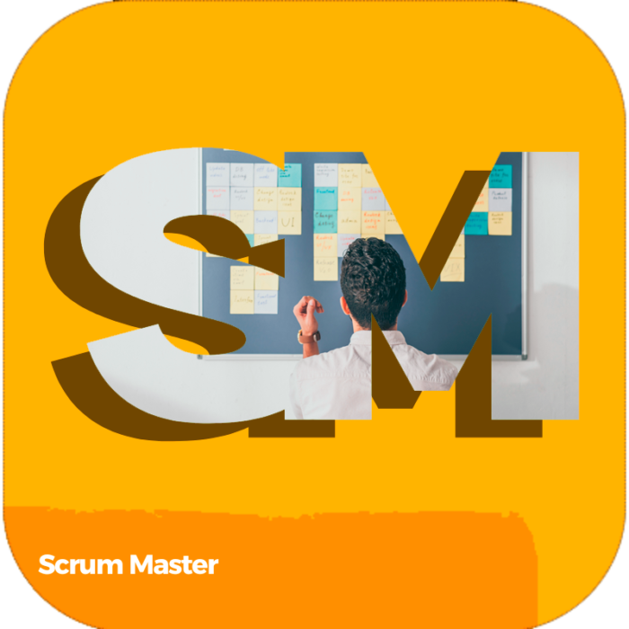 Scrum Master  | Labor Basic Skills | Industry Certifications