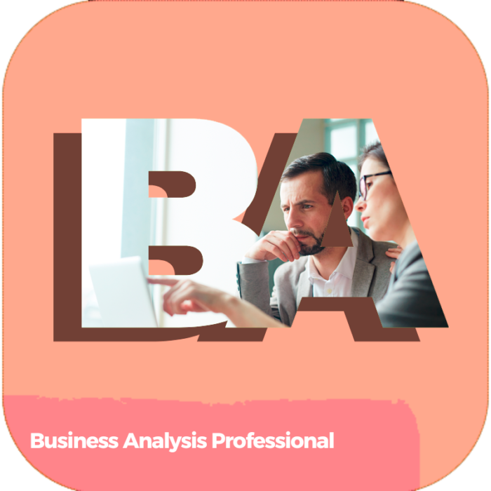 Business Analysis Professional | Labor Basic Skills | Industry Certifications