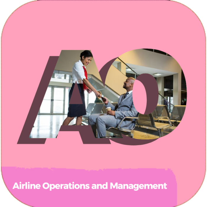 Airline Operations and Management | Transportation | Certifications