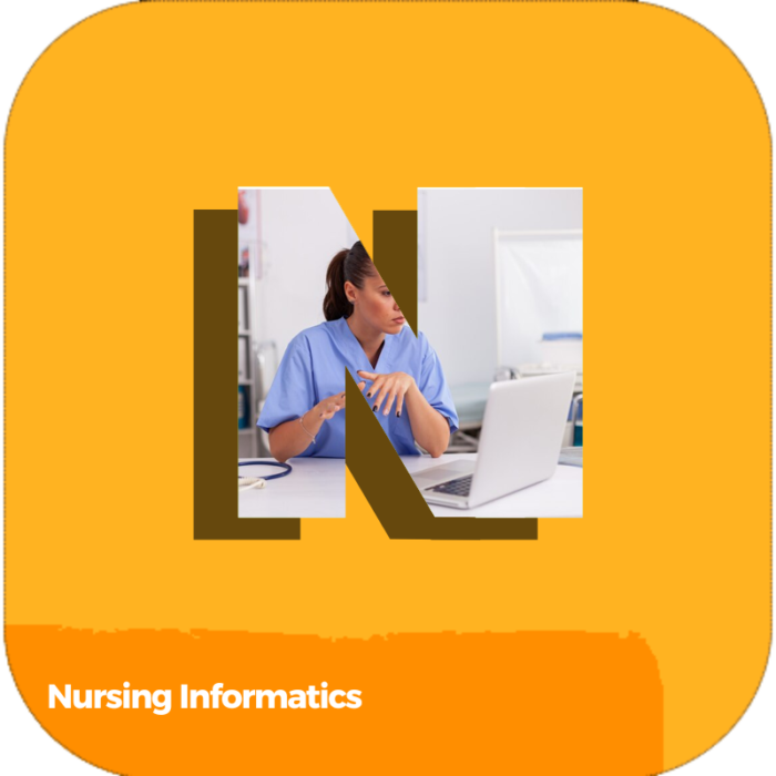 Nursing Informatics | Health Care | Online Courses